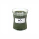 Woodwick Frasier Fir Candle Mini