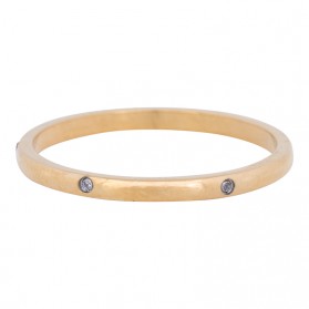 iXXXi Ring Elegance goud R4901-1