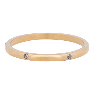 iXXXi Ring Elegance goud R4901-1