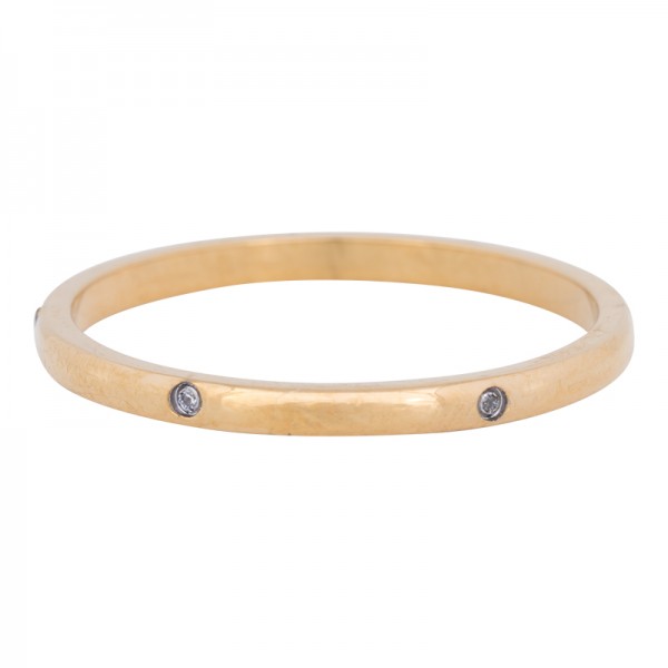 iXXXi Ring Elegance goud R4901-1