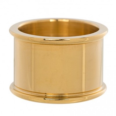 IXXXI Basisring Goud 14mm