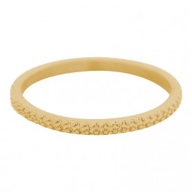 iXXXi Kaviaar ring 2 mm goud