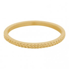 iXXXi Kaviaar ring 2 mm goud