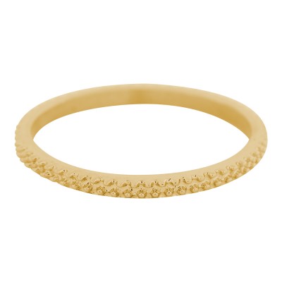 iXXXi Kaviaar ring 2 mm goud