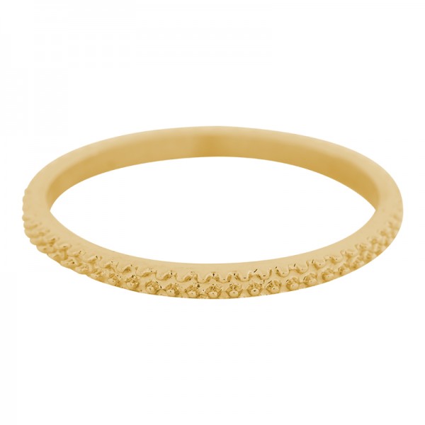 iXXXi Kaviaar ring 2 mm goud