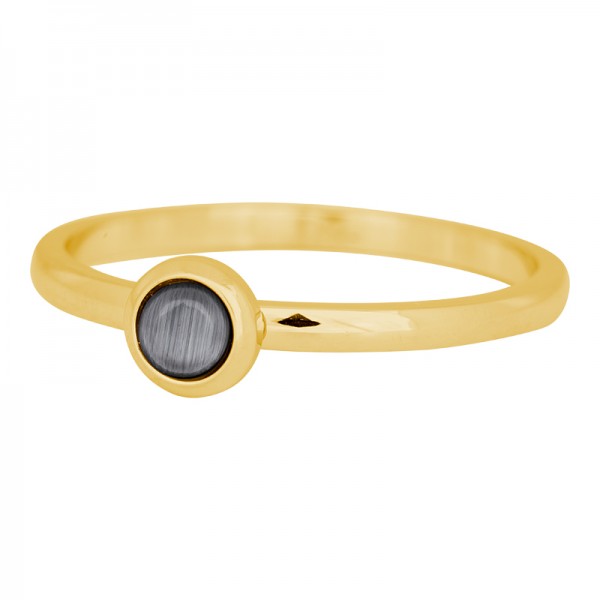 iXXXi ring natuursteen grijs 2mm goud