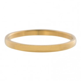 iXXXi ring smal Glad Goud 2mm