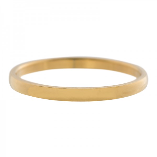 iXXXi ring smal Glad Goud 2mm