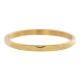 iXXXi Hammerite ring goud