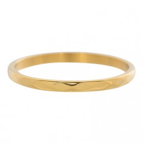 iXXXi Hammerite ring goud