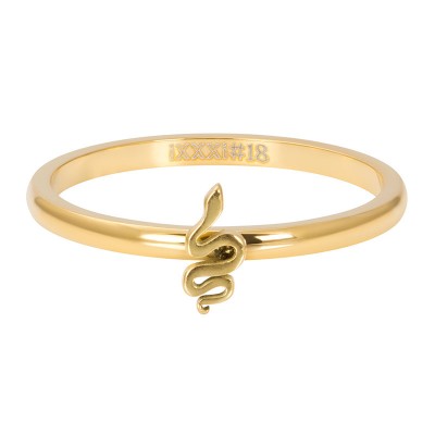 iXXXi Symbol Snake Goud 2mm