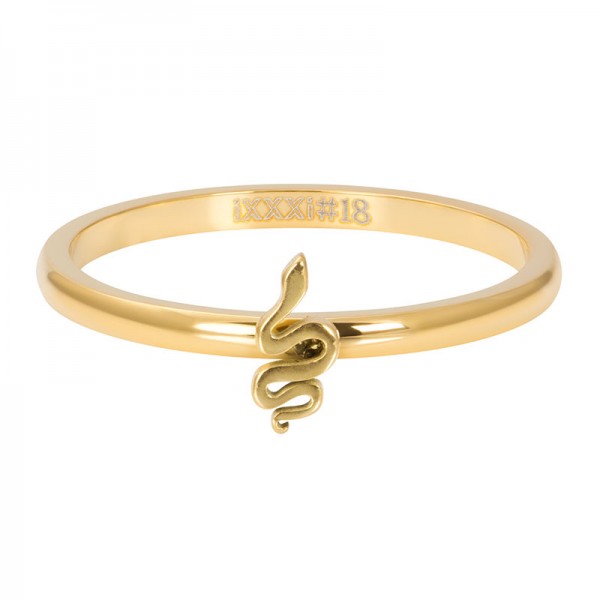 iXXXi Symbol Snake Goud 2mm