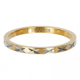 iXXXi ring X Row Goud 2mm