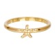 iXXXi Symbol Sea Star Goud 2mm