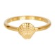 iXXXi Symbol Sea Shell Goud 2mm